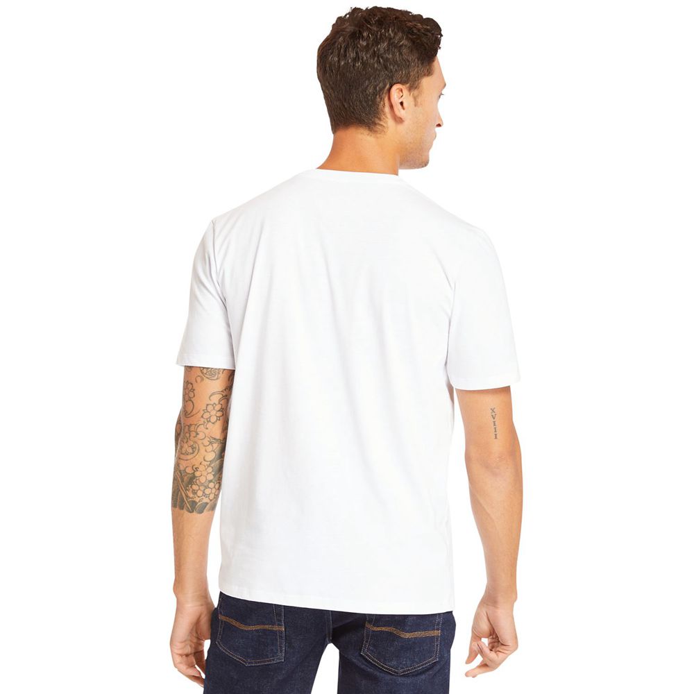 Camisetas Masculino - Timberland Mink Brook 3D Embossed - QEAXN9803 - Branco